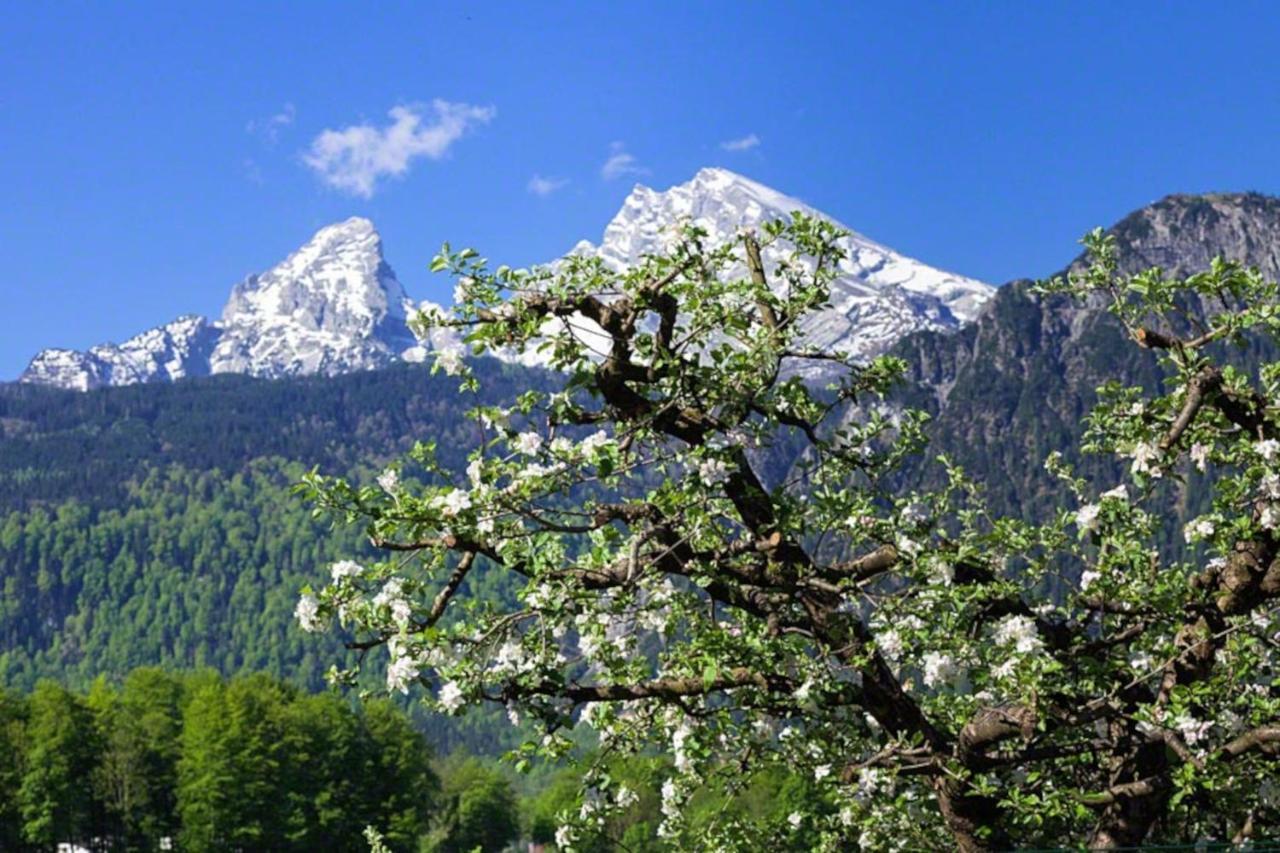 Triembachhof Villa Schönau am Königssee Kültér fotó